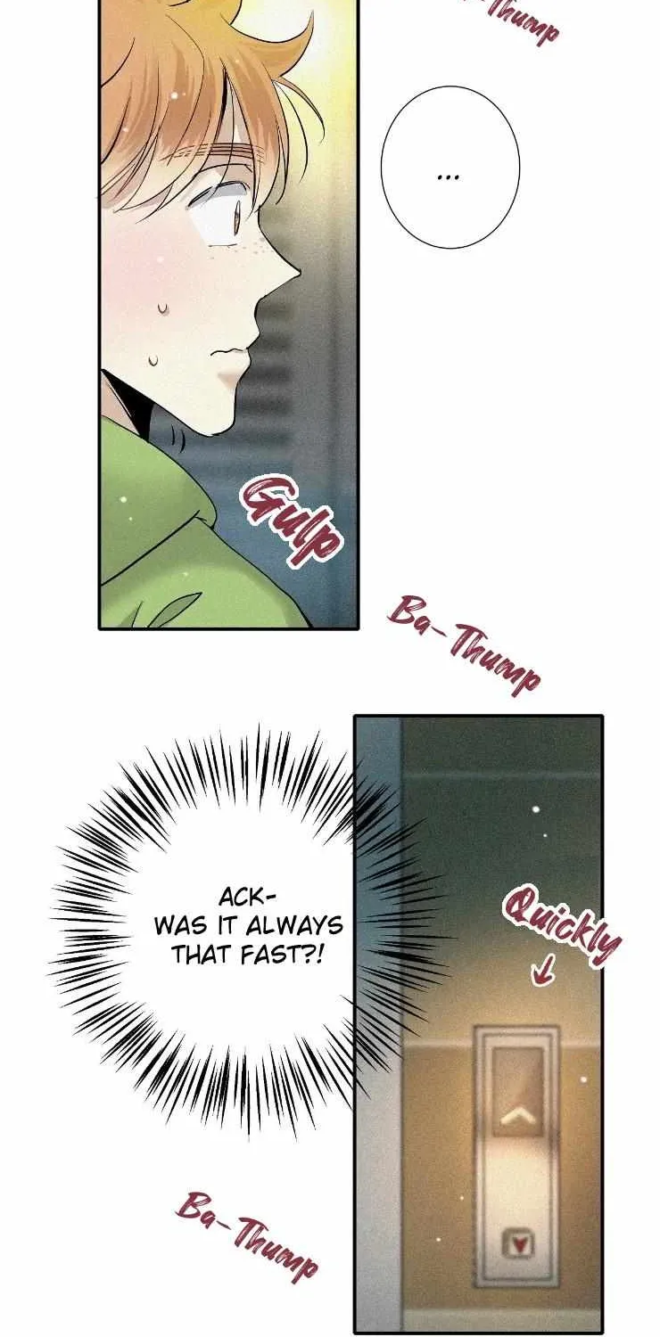 A well known love affair Chapter 47 page 37 - 