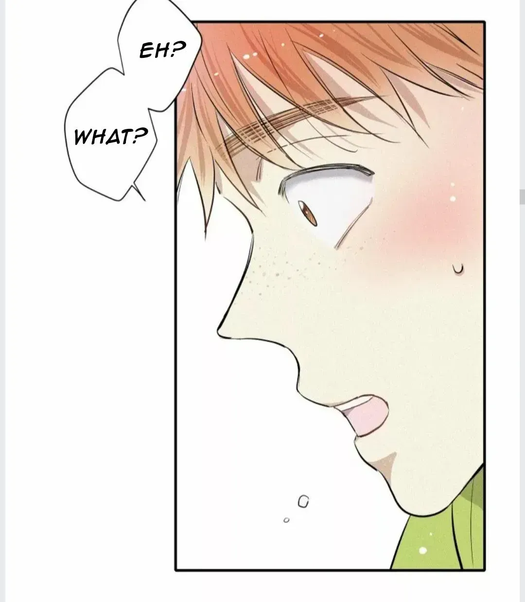 A well known love affair Chapter 5.3 page 44 - 