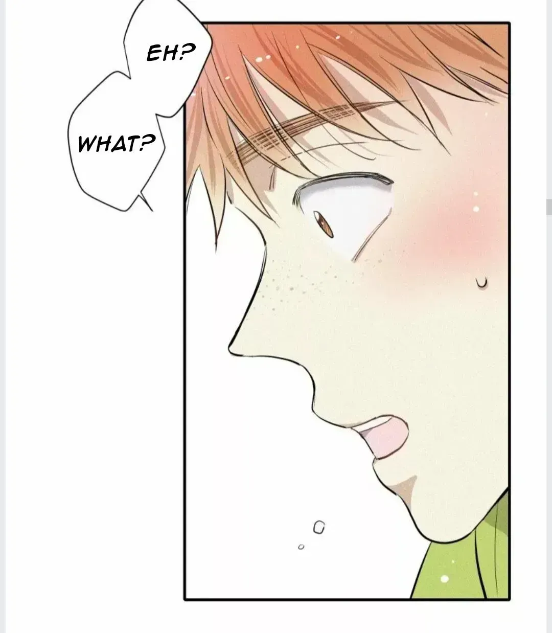 A well known love affair Chapter 5.5 page 44 - 