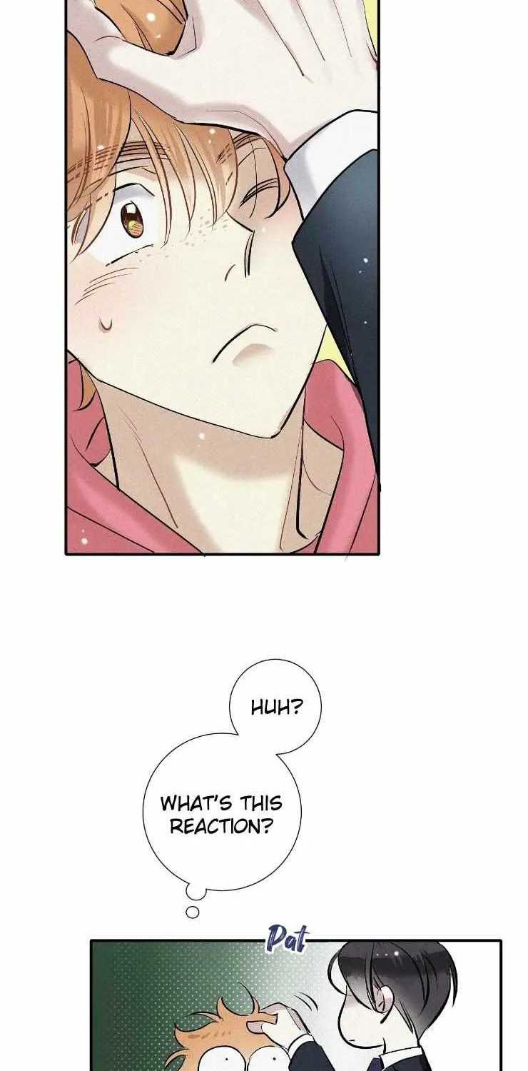 A well known love affair Chapter 50 page 39 - 