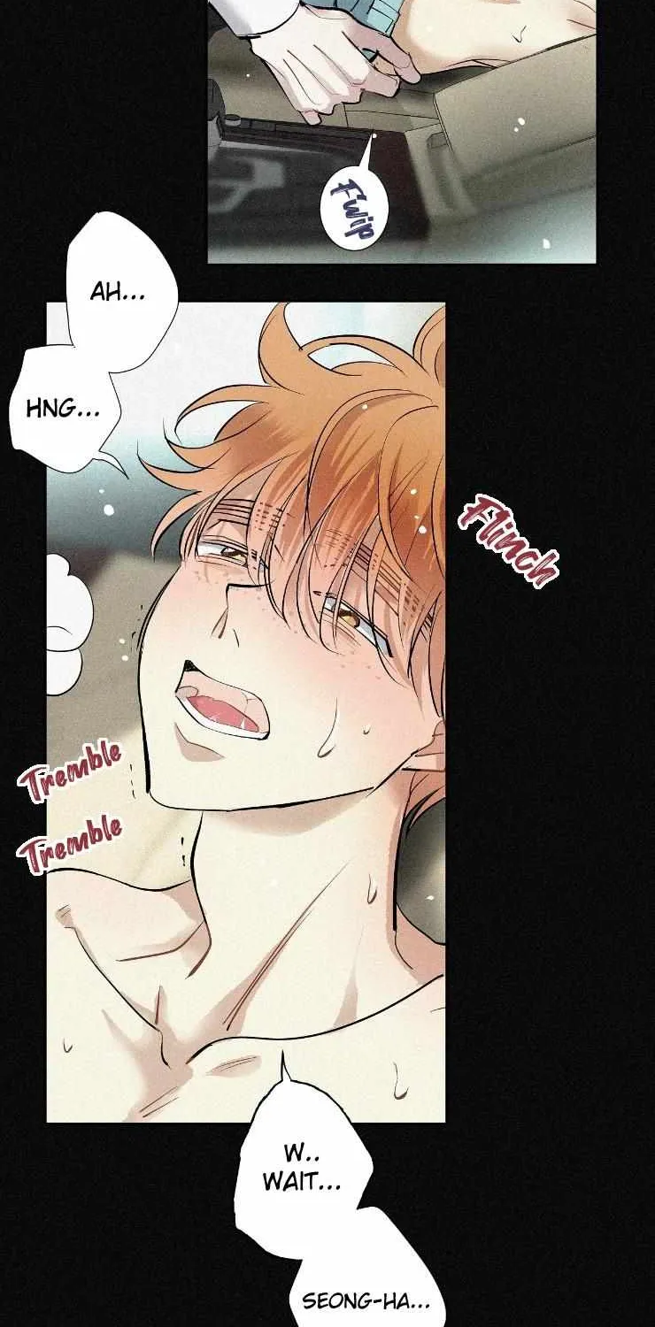 A well known love affair Chapter 52 page 14 - 