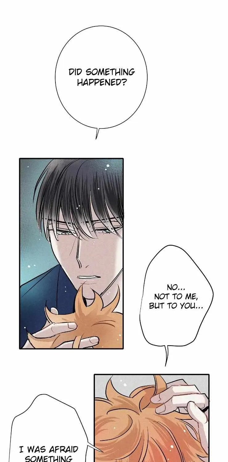 A well known love affair Chapter 56 page 12 - 