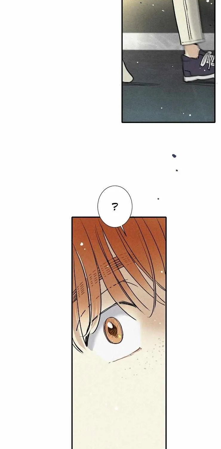 A well known love affair Chapter 56 page 53 - 