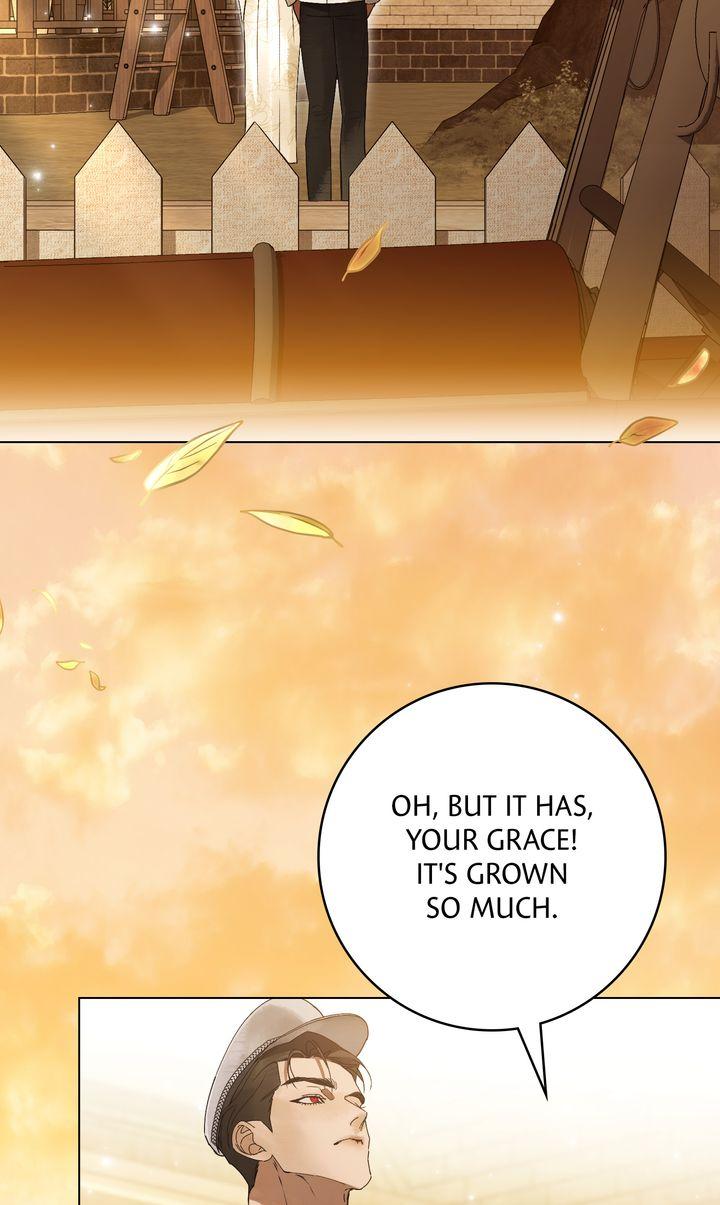 Read A Wicked Husband chapter 24 image 12 on Lezhin