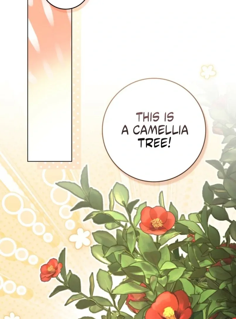 Read A Wicked Husband chapter 8 image 71 on Lezhin