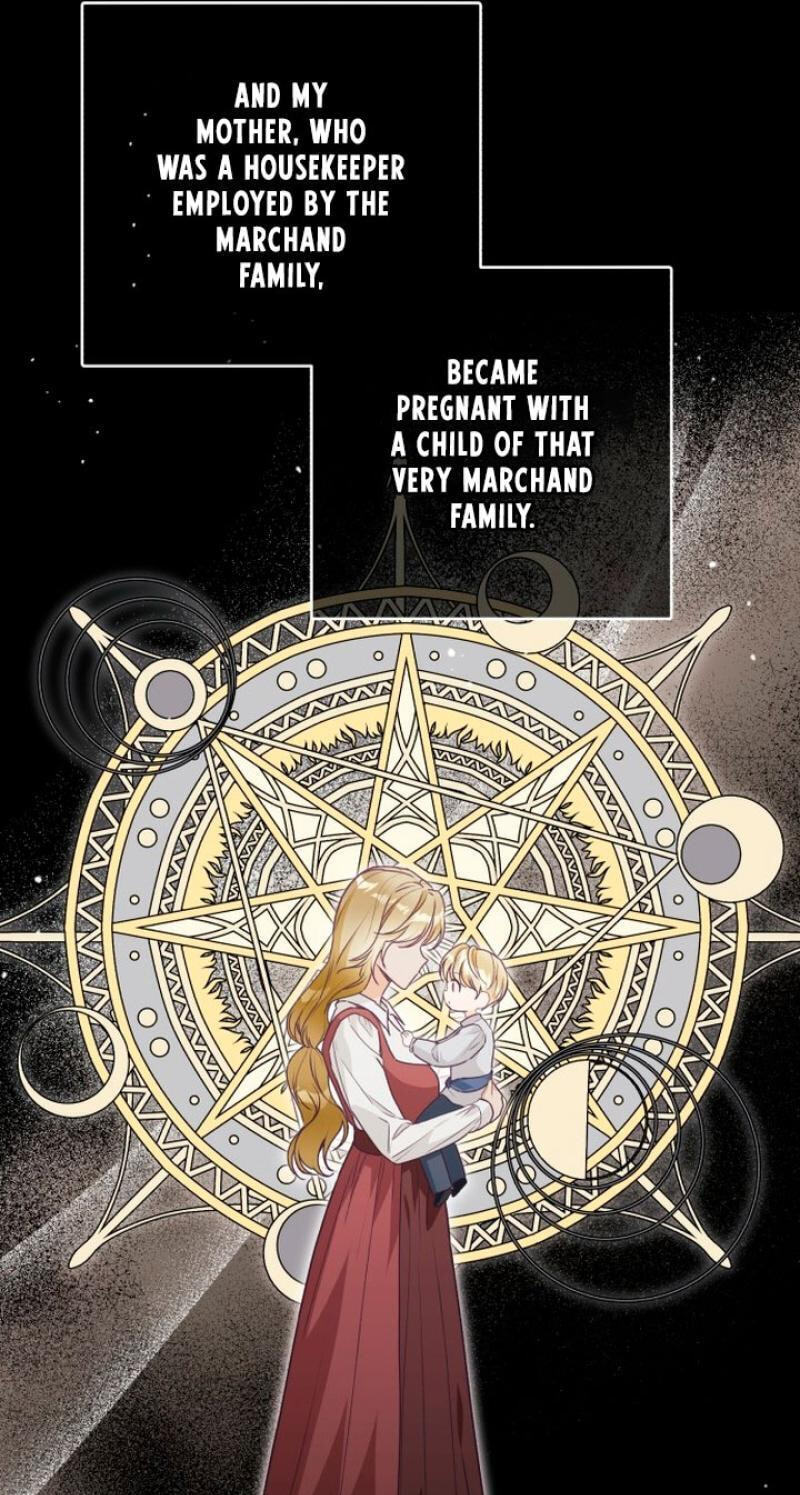 Read A Witch