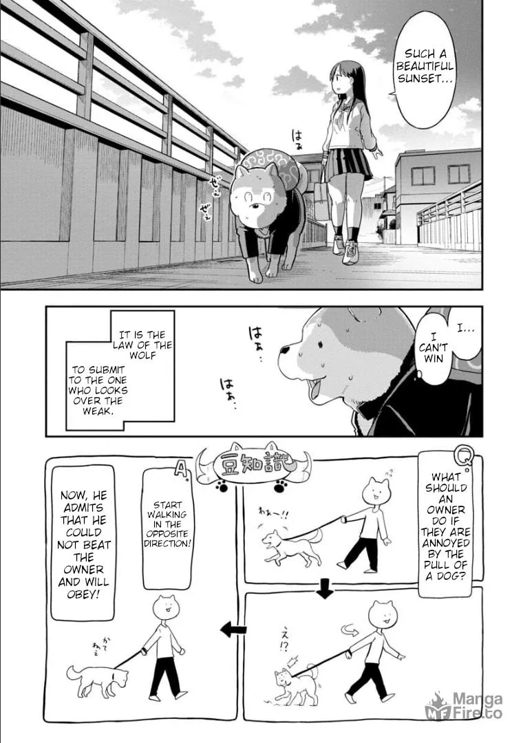 Read A Wolf Cannot Win to Hayakawa chapter 2 image 11 on Lezhin
