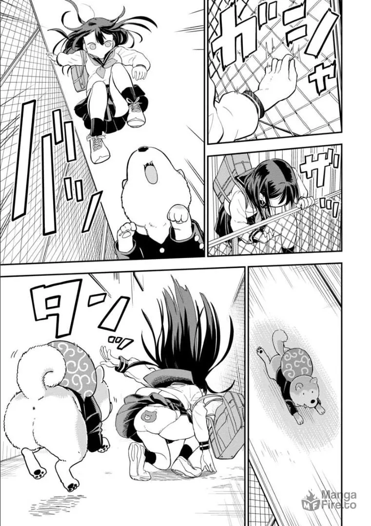 Read A Wolf Cannot Win to Hayakawa chapter 2 image 9 on Lezhin