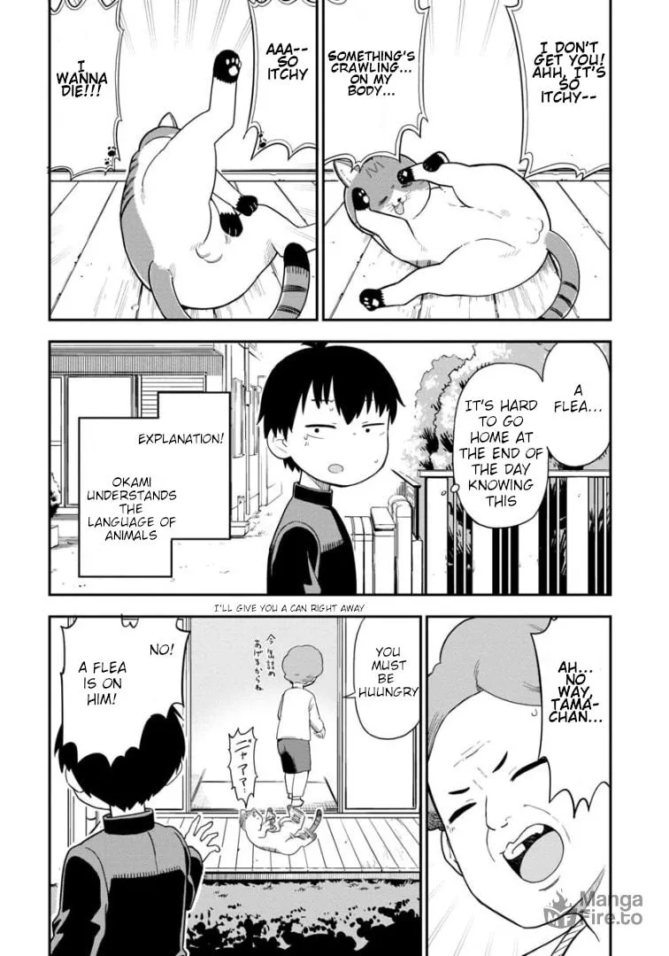 Read A Wolf Cannot Win to Hayakawa chapter 3 image 2 on Lezhin