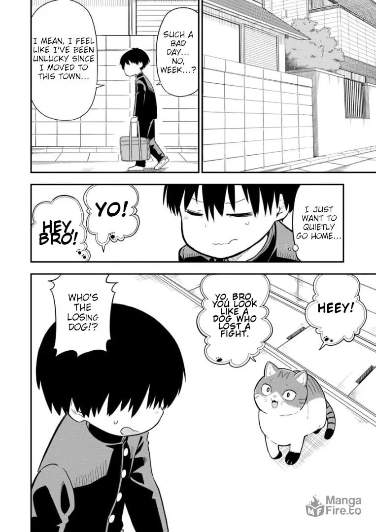Read A Wolf Cannot Win to Hayakawa chapter 3 image 8 on Lezhin