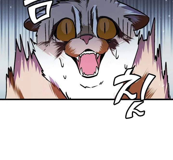 Read Absolute Martial Arts chapter 27 image 25 on Lezhin