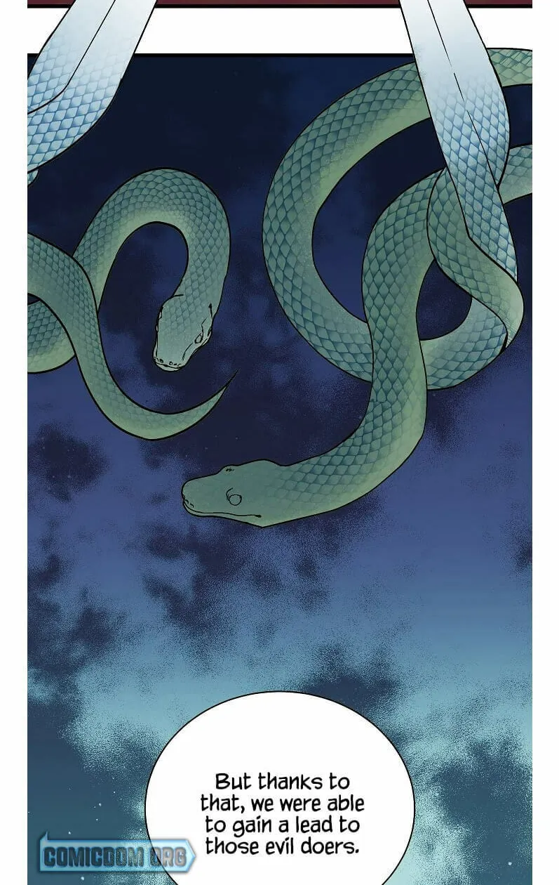 Read Absolute Martial Arts chapter 44 image 12 on Lezhin