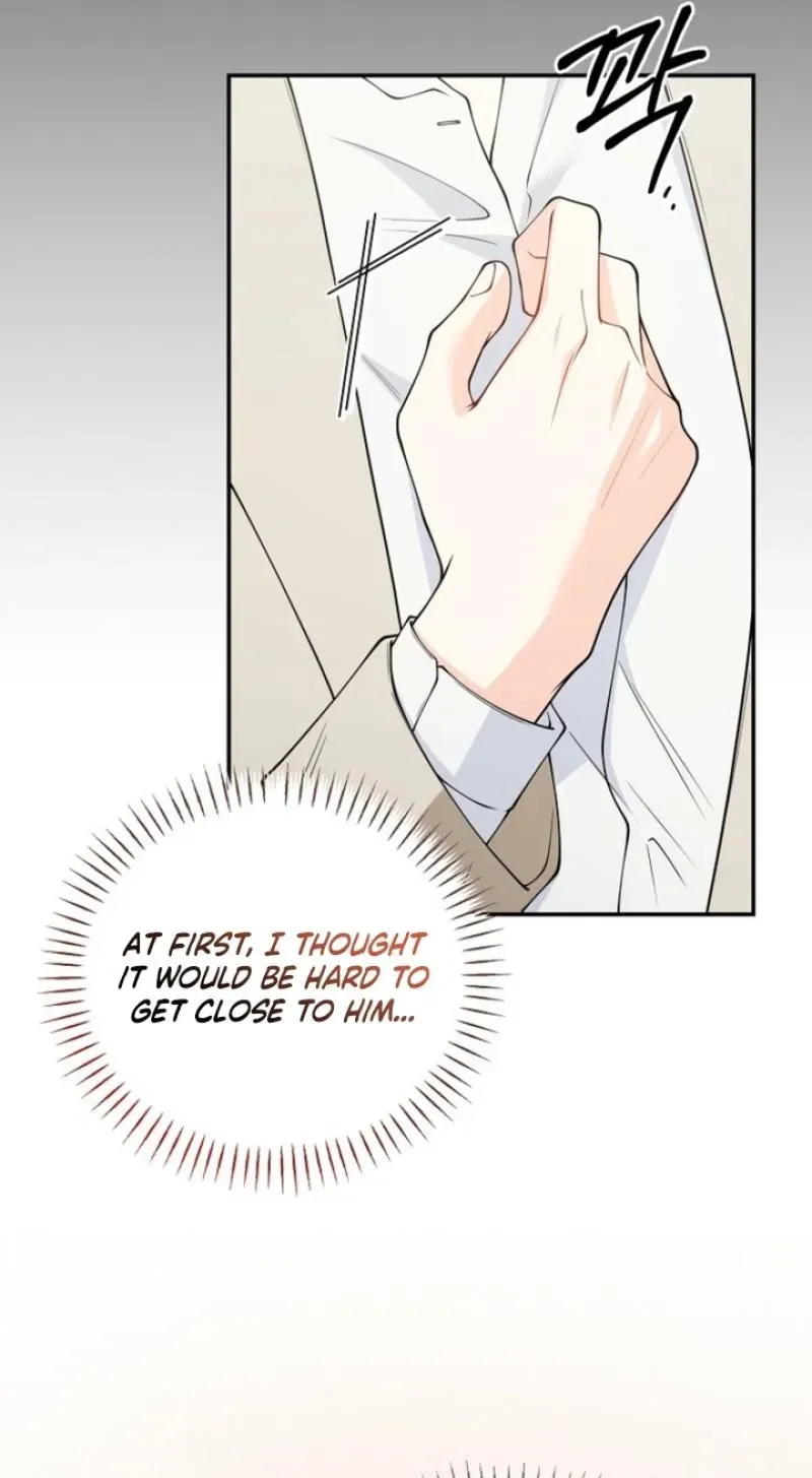 Read Accidental Romance chapter 25 image 51 on Lezhin