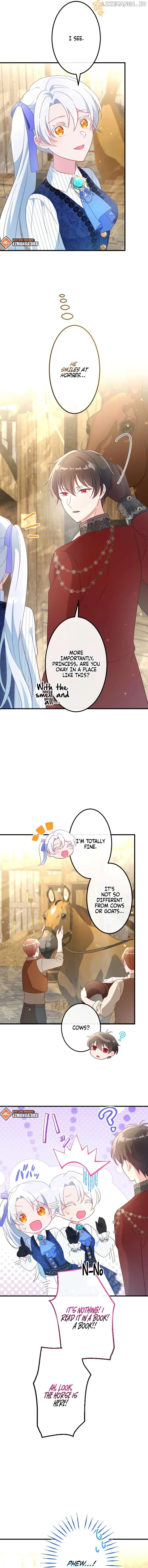 Accidentally Too Good at Being a Temporary Princess Chapter 11 page 4 - 