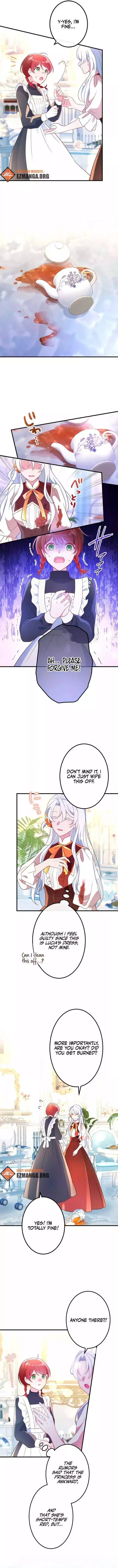 Accidentally Too Good at Being a Temporary Princess Chapter 2 page 10 - 