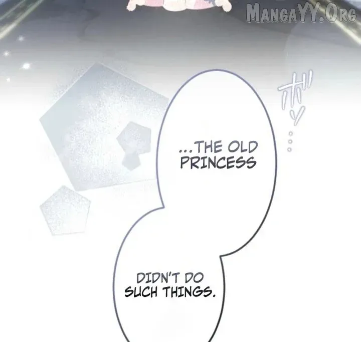 Accidentally Too Good at Being a Temporary Princess Chapter 55 page 101 - 