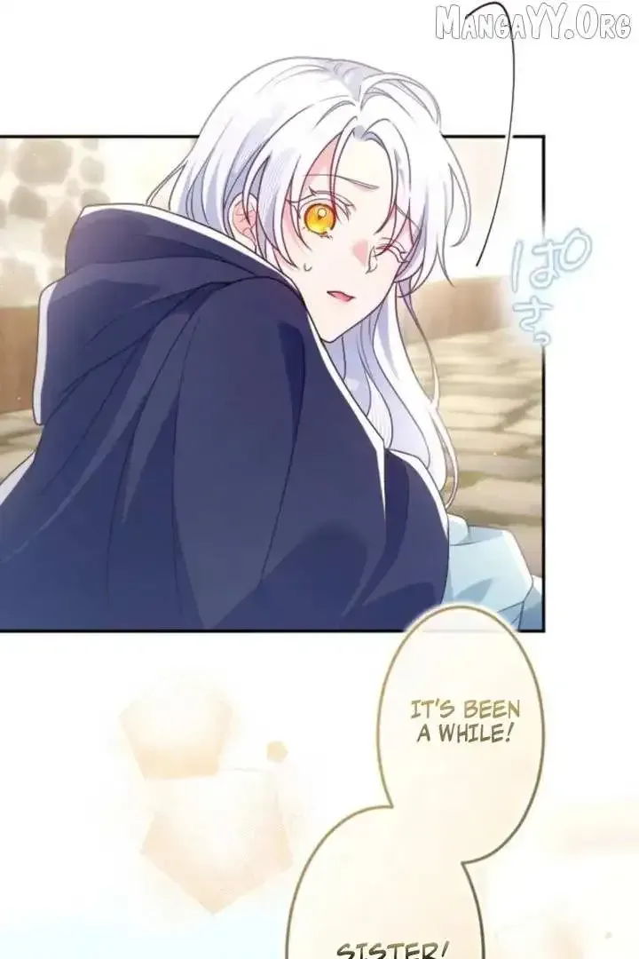 Accidentally Too Good at Being a Temporary Princess Chapter 55 page 9 - 