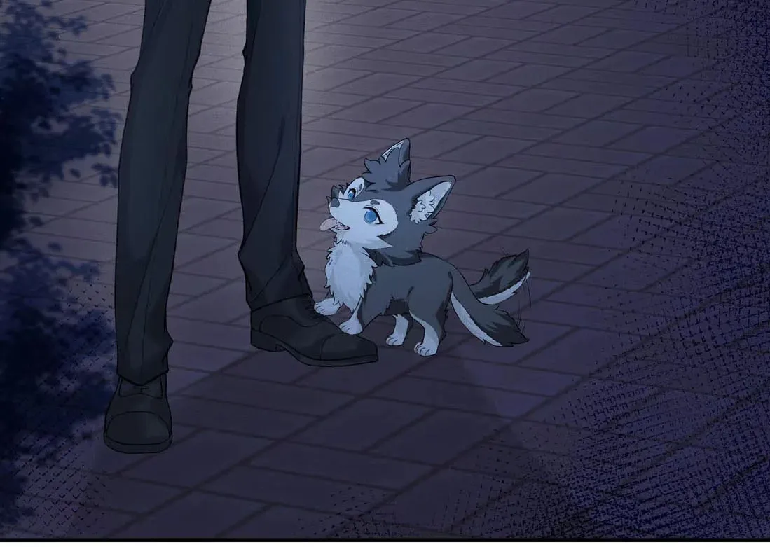 Read Acknowledging Enemy as Daddy chapter 1 image 74 on Lezhin