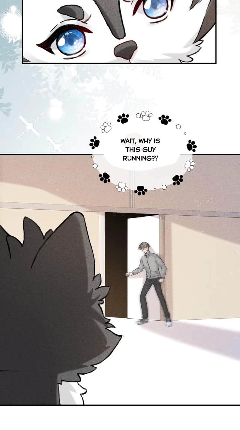 Read Acknowledging Enemy as Daddy chapter 10 image 5 on Lezhin