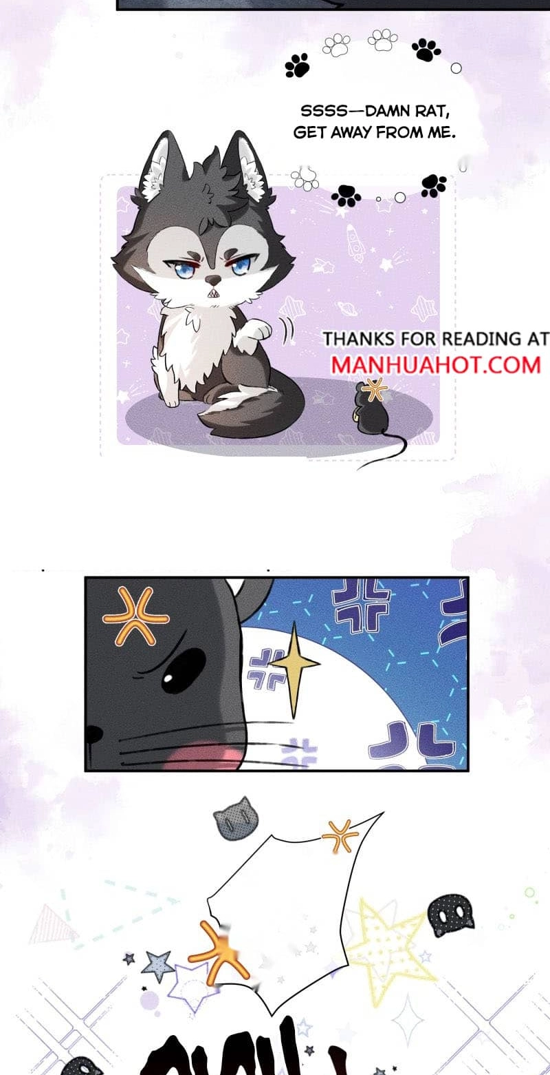 Read Acknowledging Enemy as Daddy chapter 13 image 7 on Lezhin