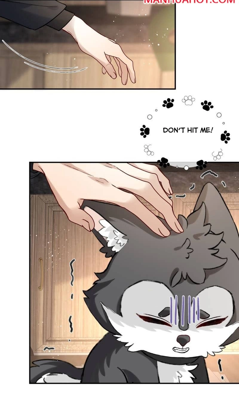 Read Acknowledging Enemy as Daddy chapter 14 image 14 on Lezhin