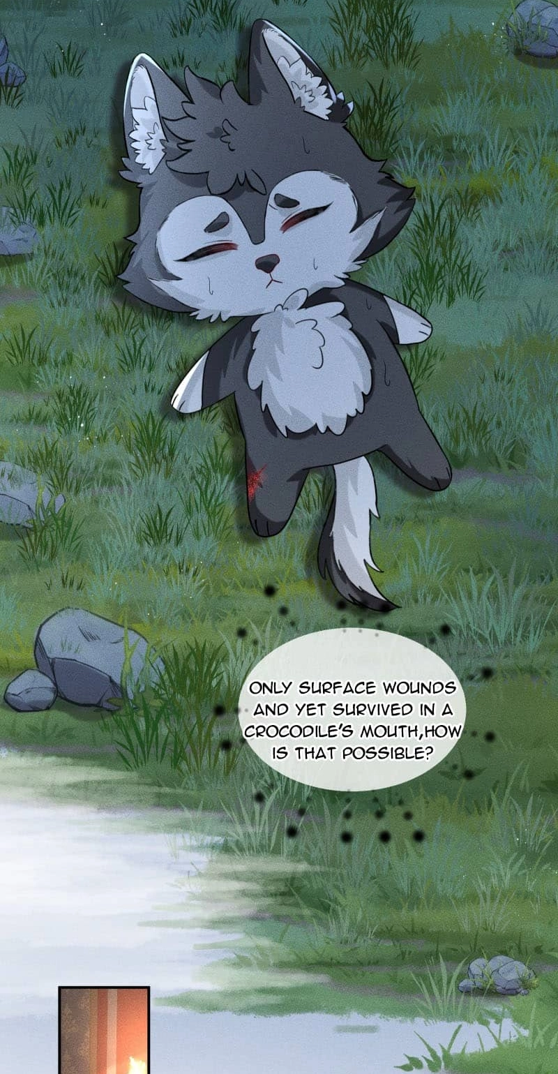 Read Acknowledging Enemy as Daddy chapter 17 image 8 on Lezhin