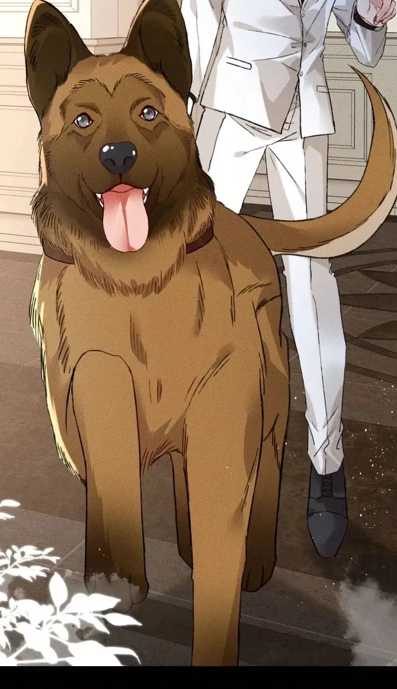 Read Acknowledging Enemy as Daddy chapter 18 image 19 on Lezhin