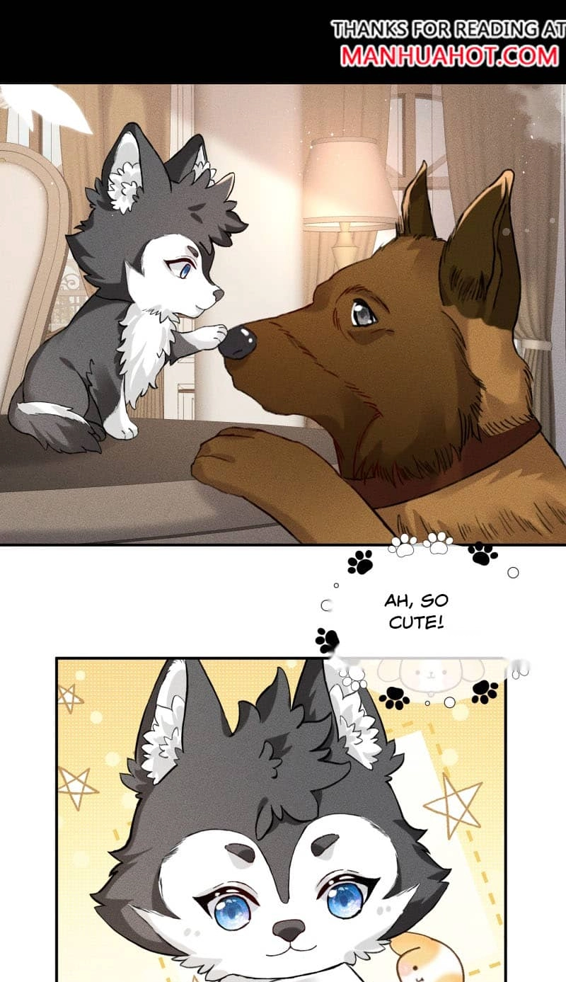 Read Acknowledging Enemy as Daddy chapter 18 image 20 on Lezhin