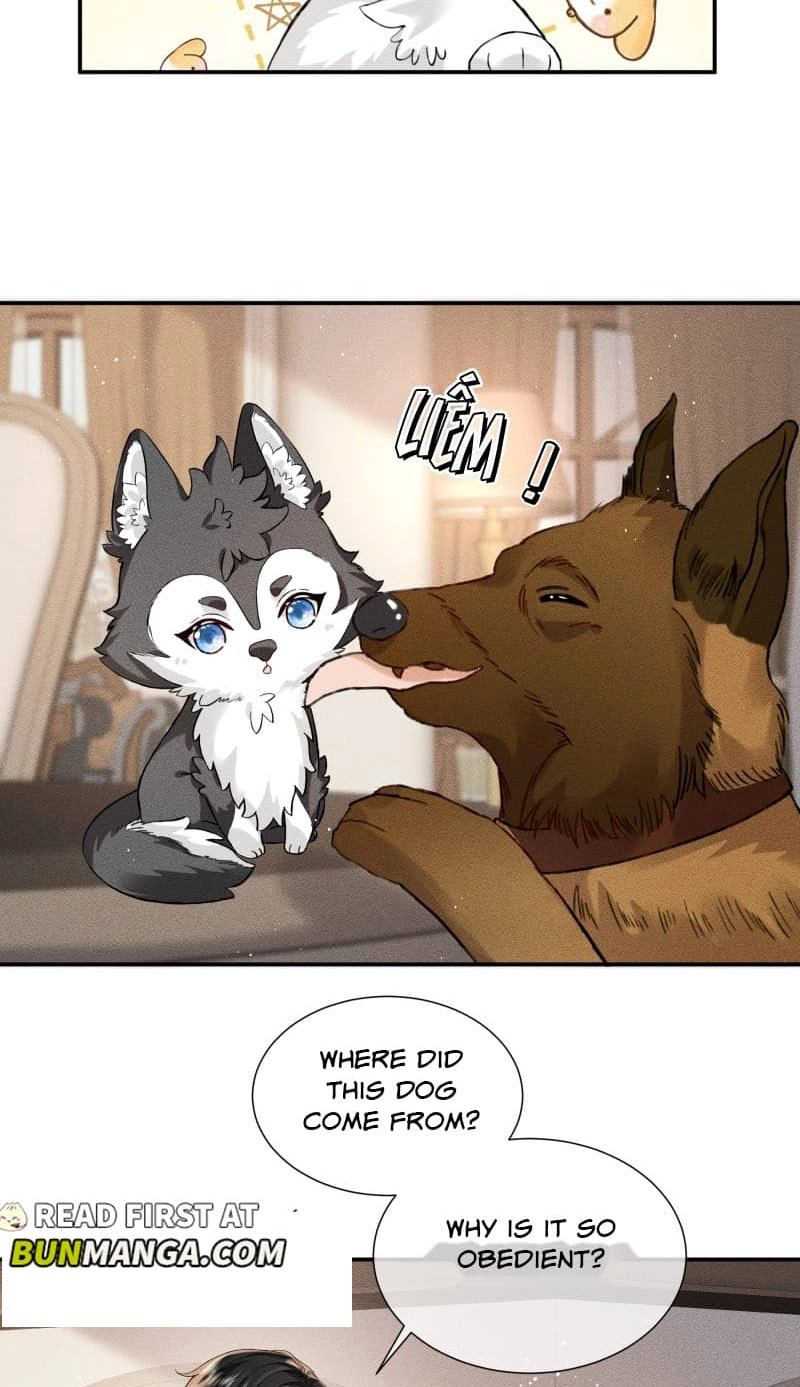 Read Acknowledging Enemy as Daddy chapter 18 image 21 on Lezhin