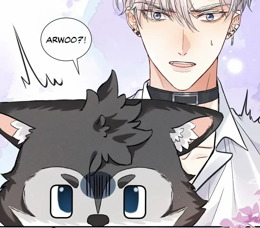 Read Acknowledging Enemy as Daddy chapter 2 image 54 on Lezhin