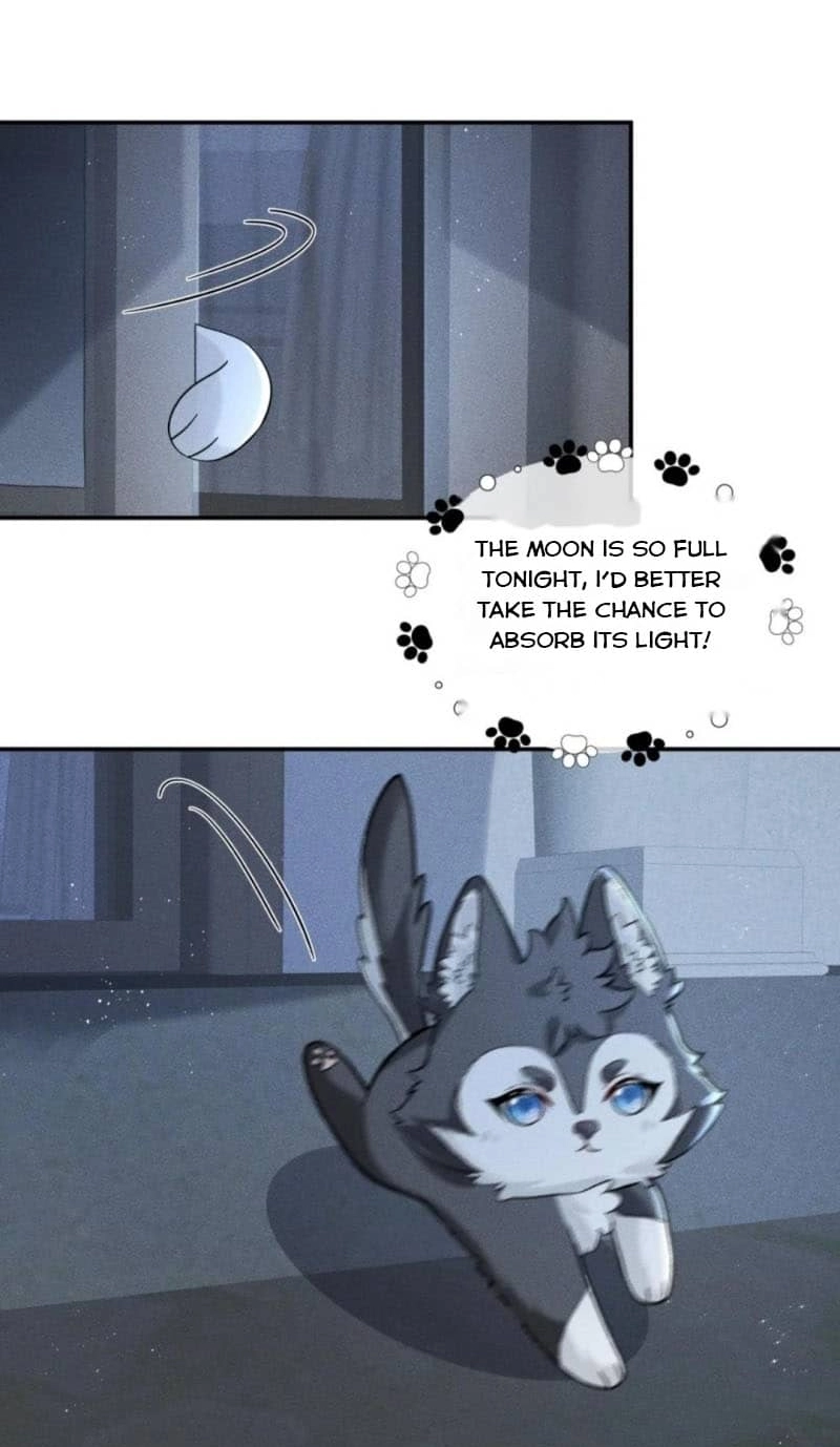 Read Acknowledging Enemy as Daddy chapter 21 image 25 on Lezhin