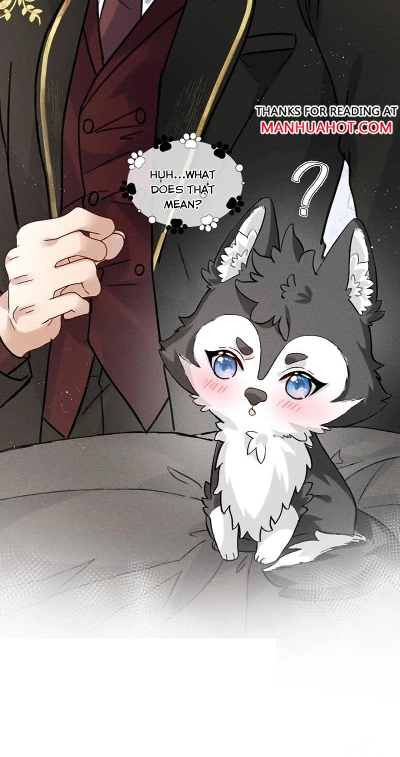 Read Acknowledging Enemy as Daddy chapter 24 image 23 on Lezhin