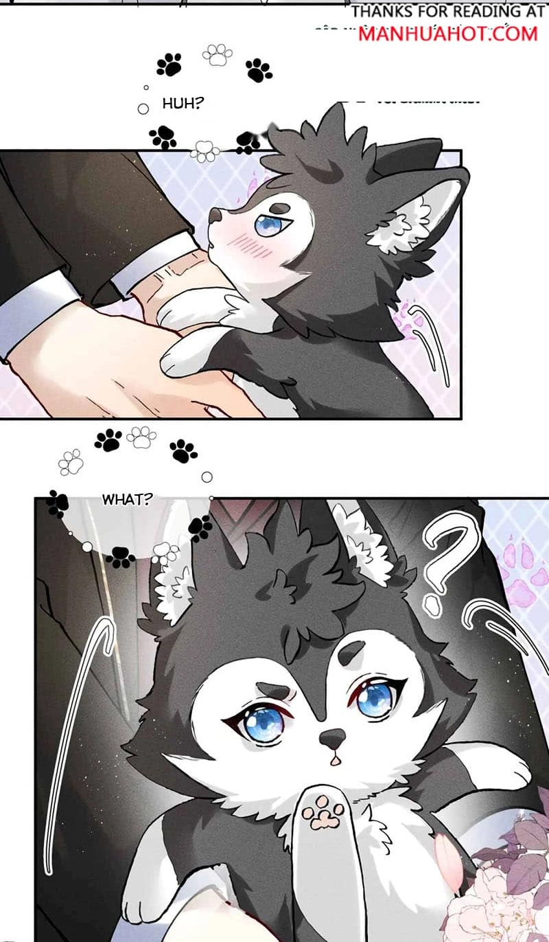 Read Acknowledging Enemy as Daddy chapter 25 image 17 on Lezhin