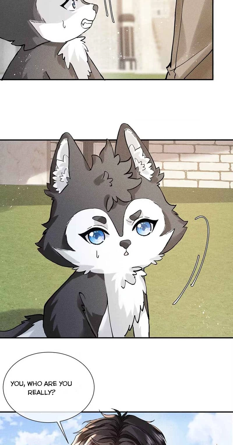 Read Acknowledging Enemy as Daddy chapter 25 image 31 on Lezhin