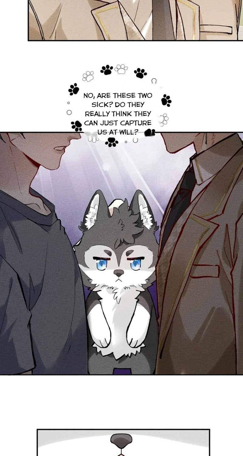 Read Acknowledging Enemy as Daddy chapter 26 image 6 on Lezhin