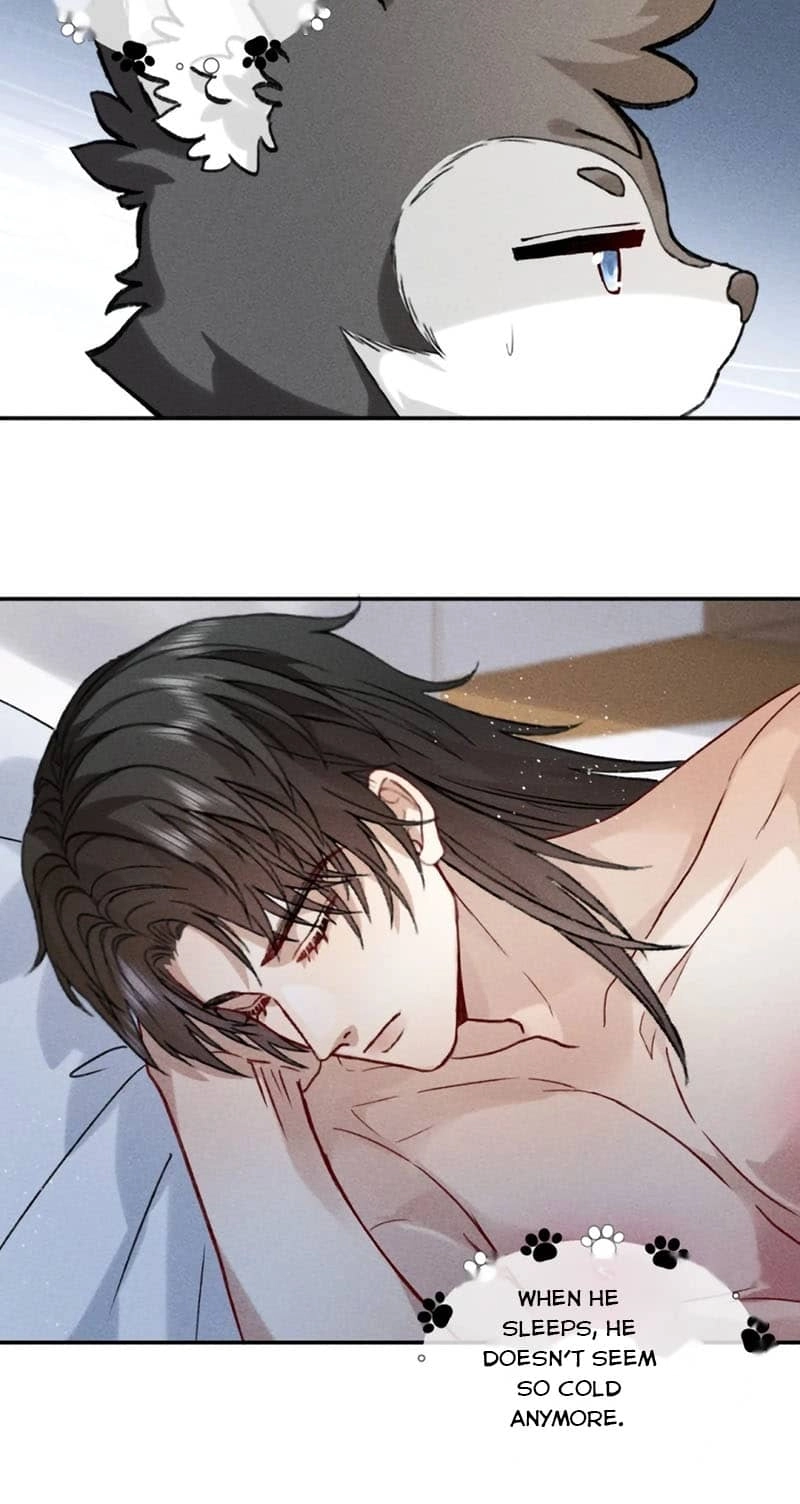 Read Acknowledging Enemy as Daddy chapter 28 image 12 on Lezhin