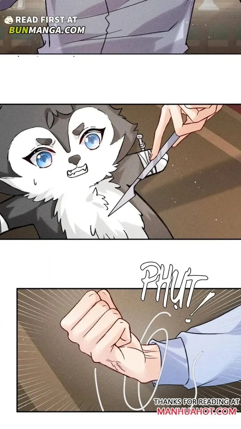 Read Acknowledging Enemy as Daddy chapter 32 image 9 on Lezhin