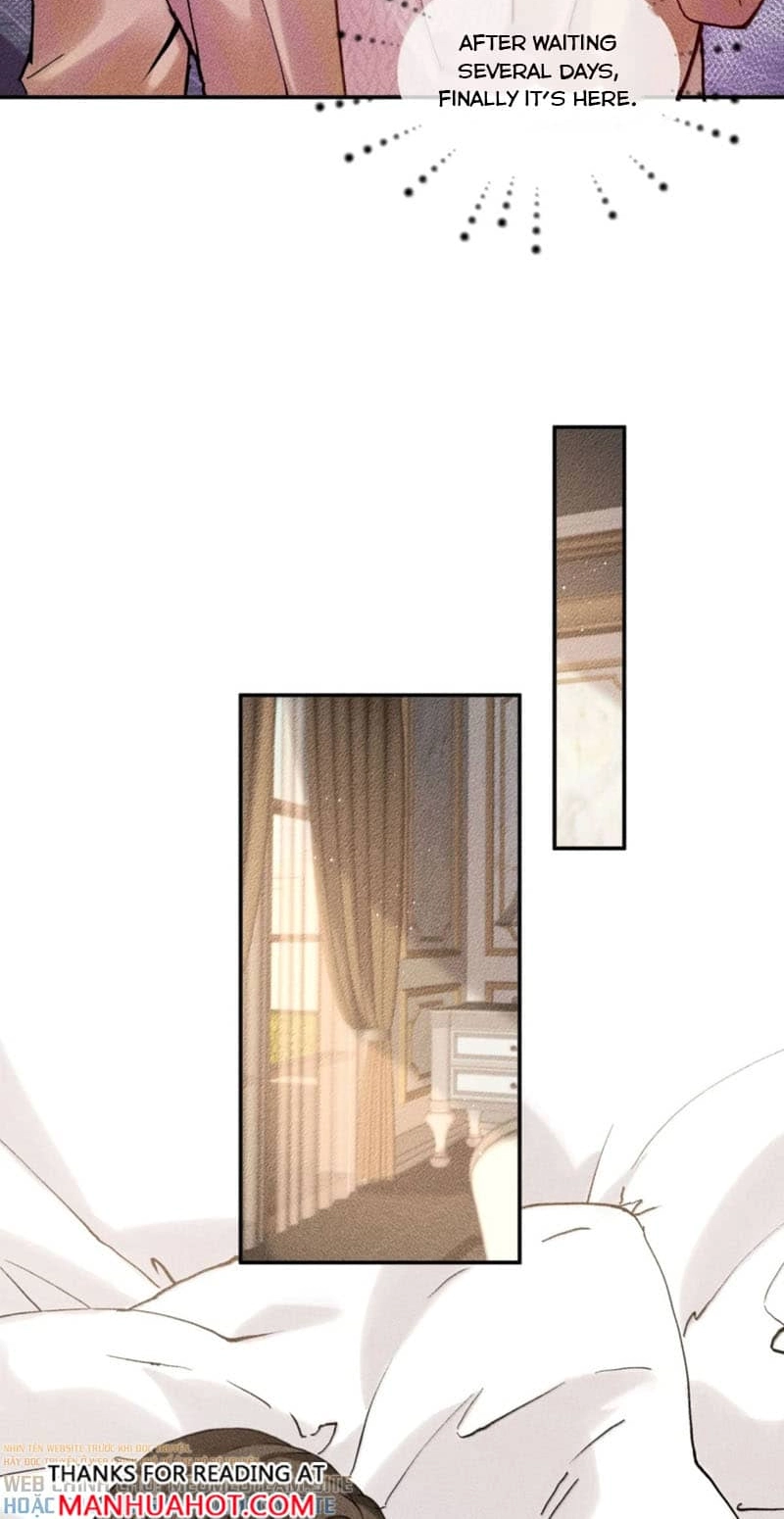 Read Acknowledging Enemy as Daddy chapter 36 image 11 on Lezhin