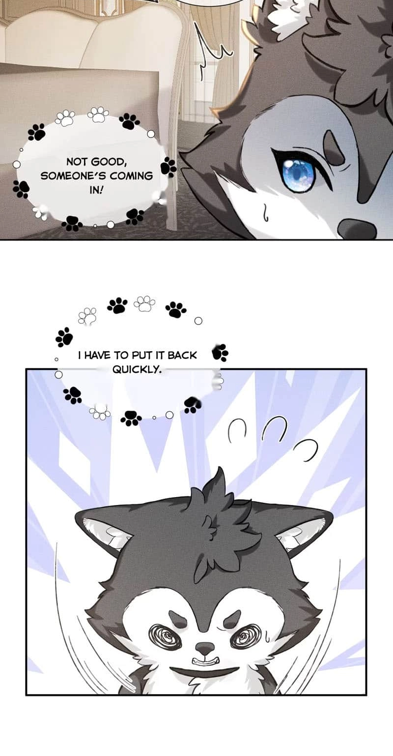 Read Acknowledging Enemy as Daddy chapter 5 image 11 on Lezhin