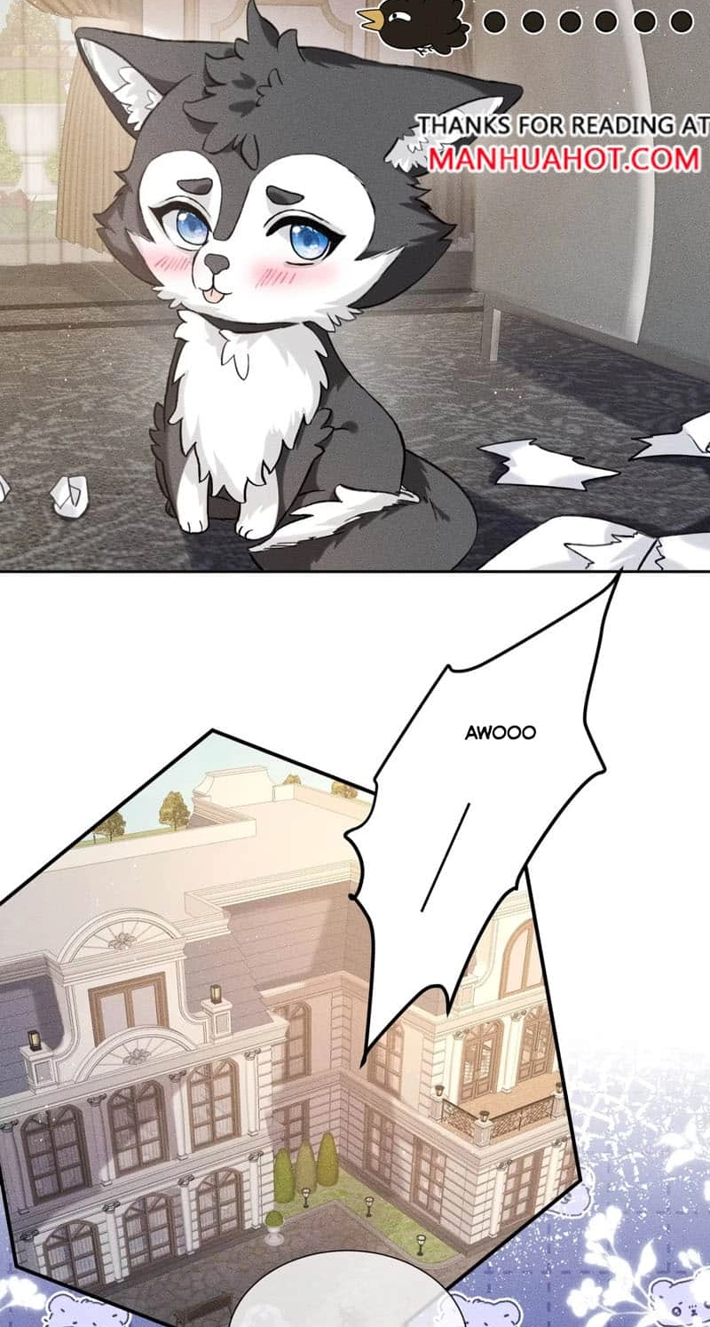 Read Acknowledging Enemy as Daddy chapter 5 image 13 on Lezhin