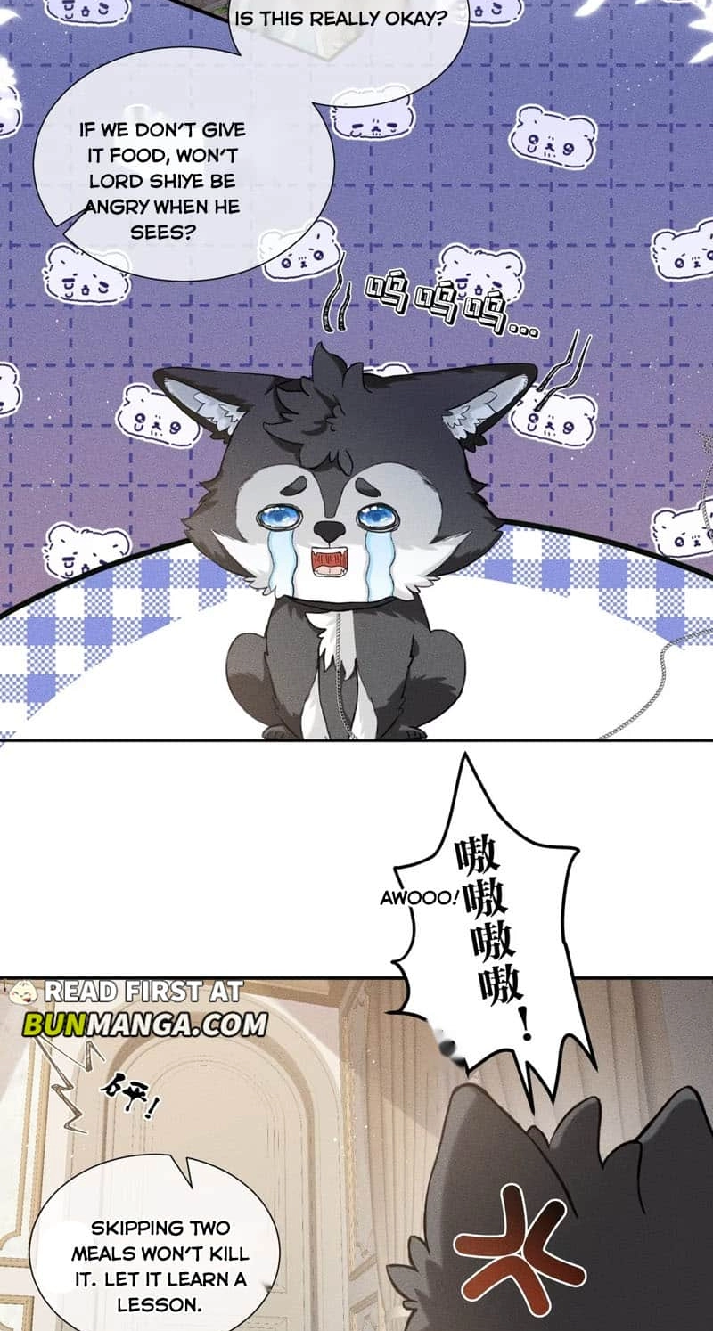Read Acknowledging Enemy as Daddy chapter 5 image 14 on Lezhin