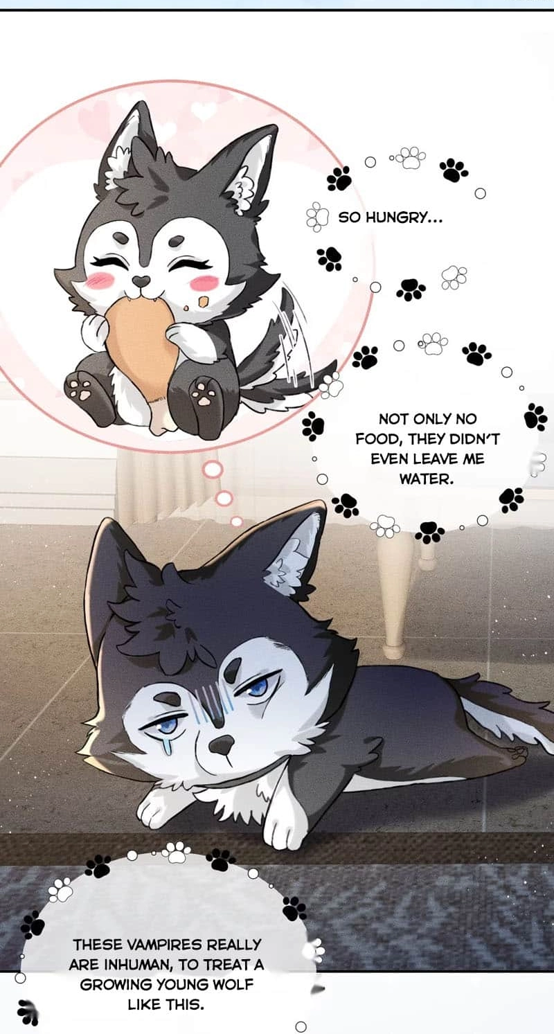 Read Acknowledging Enemy as Daddy chapter 5 image 17 on Lezhin
