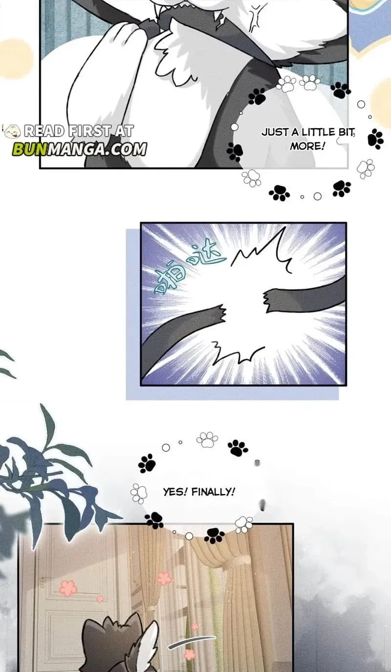 Read Acknowledging Enemy as Daddy chapter 5 image 19 on Lezhin