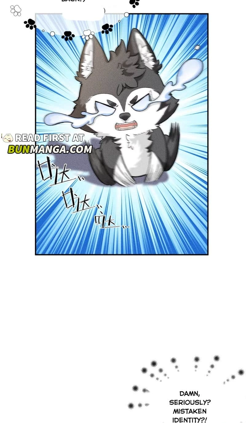Read Acknowledging Enemy as Daddy chapter 5 image 22 on Lezhin