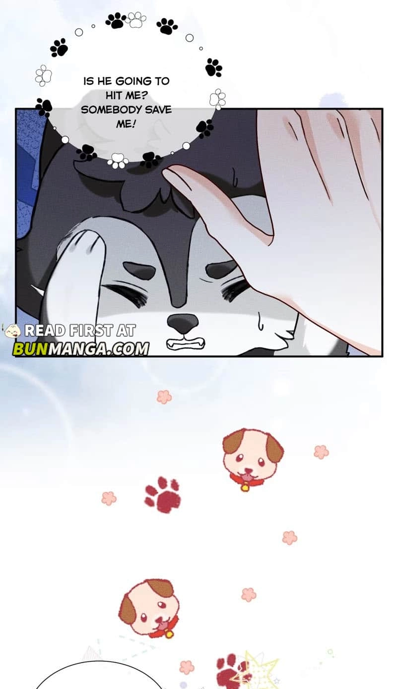Read Acknowledging Enemy as Daddy chapter 5 image 25 on Lezhin