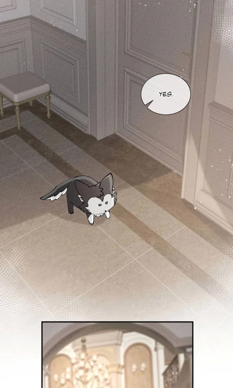 Read Acknowledging Enemy as Daddy chapter 50 image 17 on Lezhin