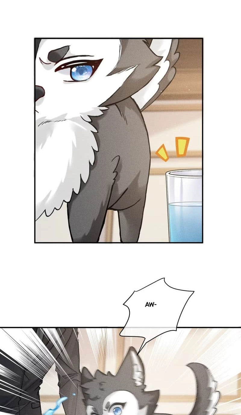 Read Acknowledging Enemy as Daddy chapter 7 image 14 on Lezhin