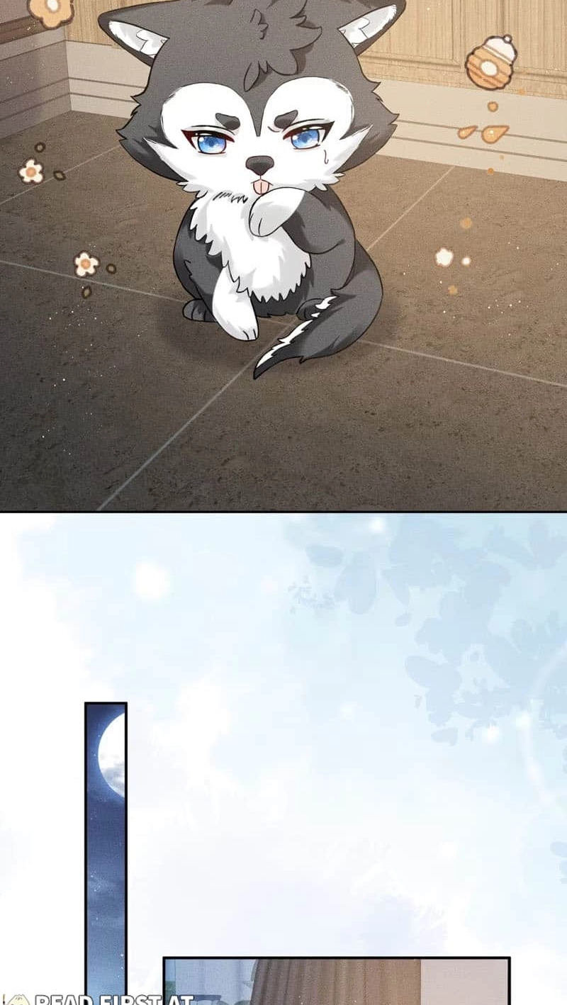 Read Acknowledging Enemy as Daddy chapter 7 image 21 on Lezhin