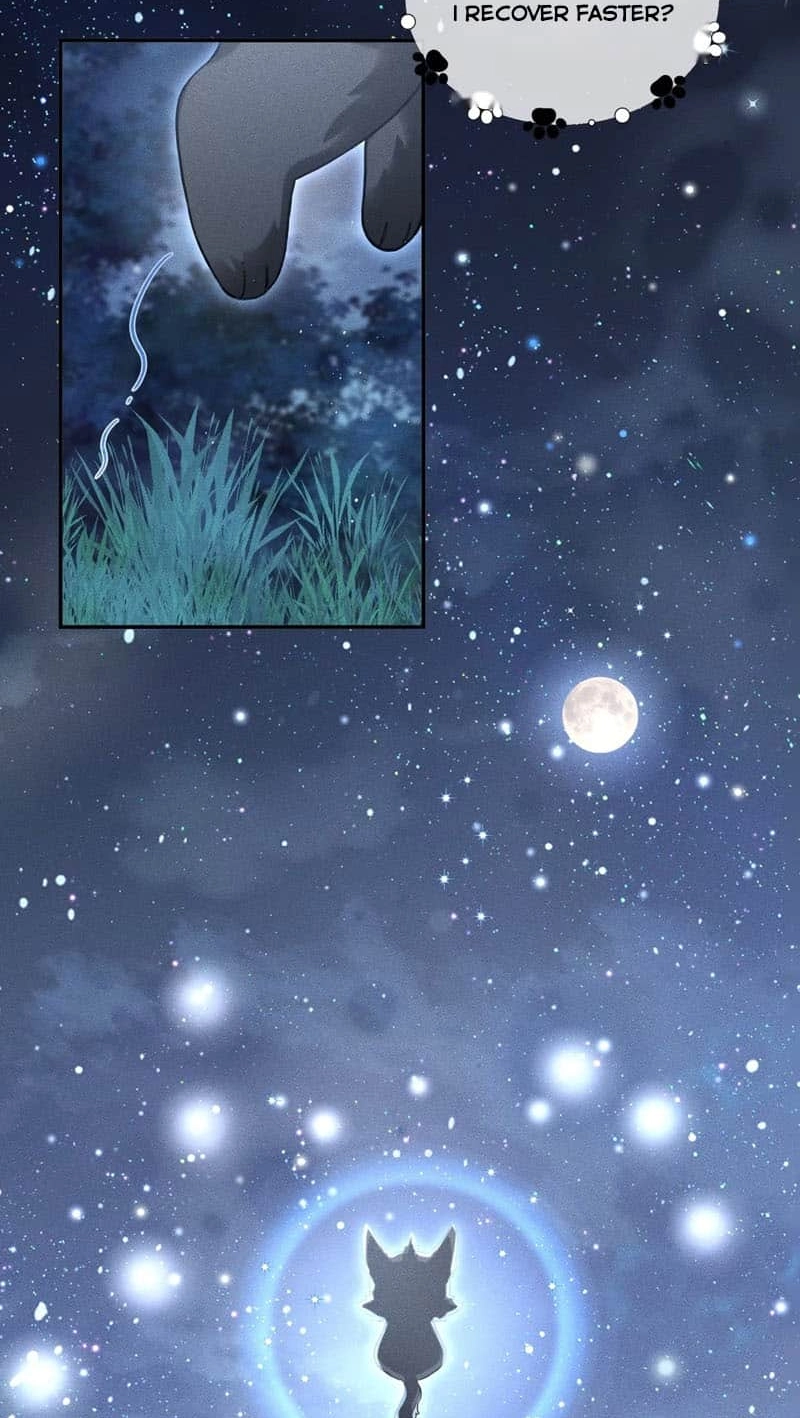Read Acknowledging Enemy as Daddy chapter 7 image 27 on Lezhin
