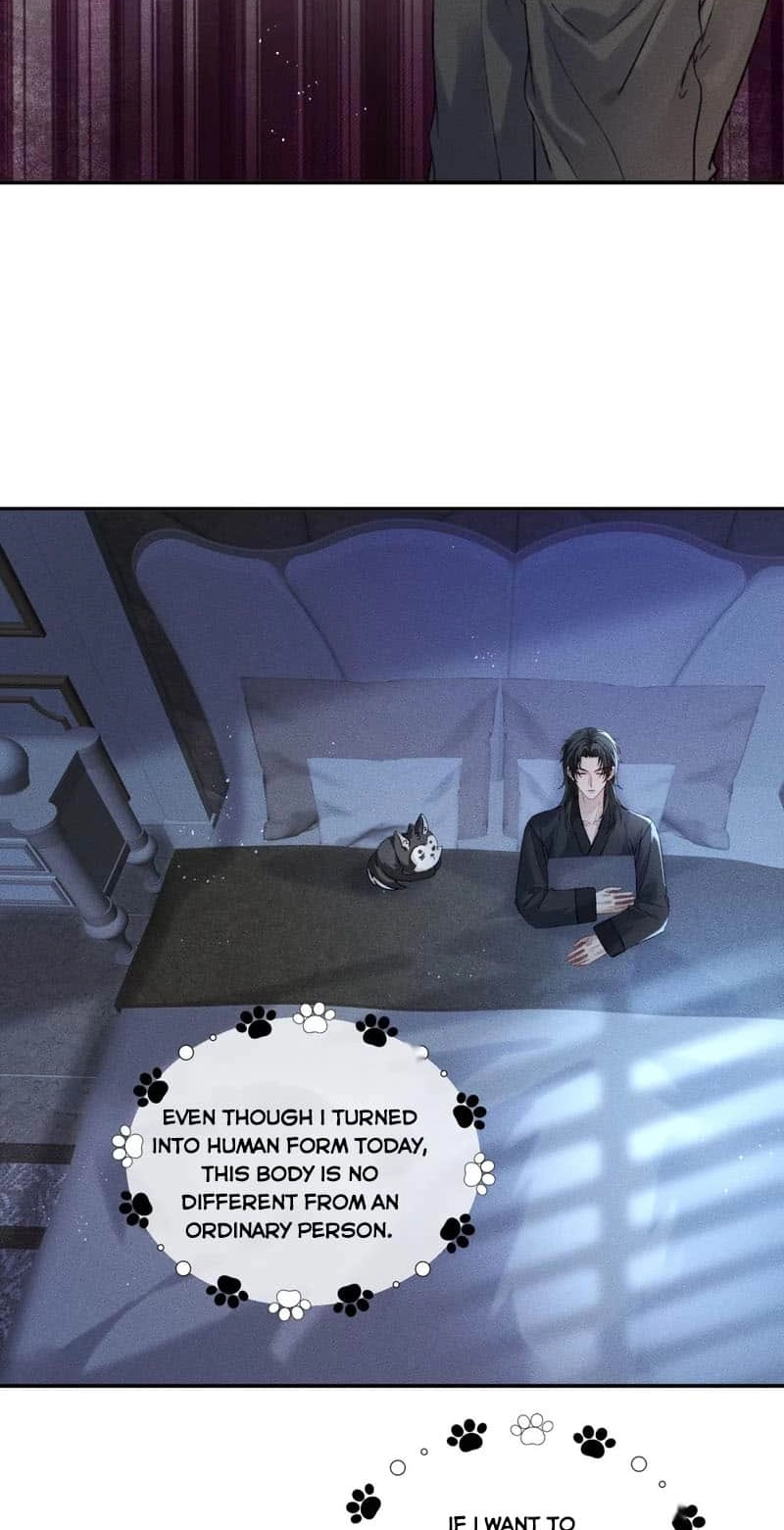 Read Acknowledging Enemy as Daddy chapter 8 image 21 on Lezhin